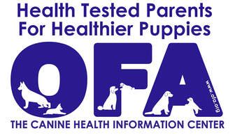 Out of OFA health tested parents