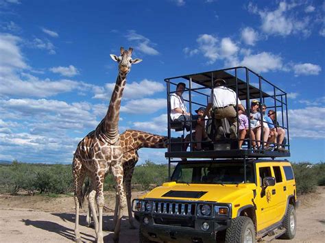 Out of africa az. Consider a bundle package with multiple activities to keep the fun going all day long. TripAdvisor/meatsmkr. Address: 3505 West State Route 260, Camp Verde, AZ, 86322. Hours are 9:30 a.m. to 5 p.m. daily. Google Maps. For more information, visit the park’s website or Facebook page. 
