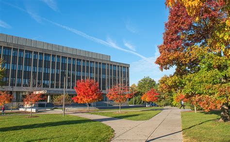 Out-of-state scholarships Admissions Michigan State University