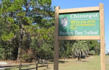 Outdoor Adventures at Chinsegut Wildlife and Environmental Area …