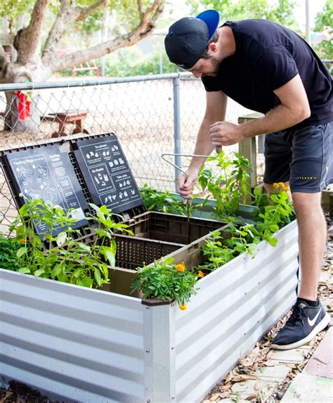 Outdoor Worm Composting: The Complete Guide with Outdoor …