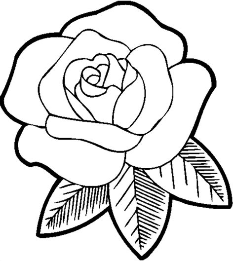 Outline Drawing Of A Rose