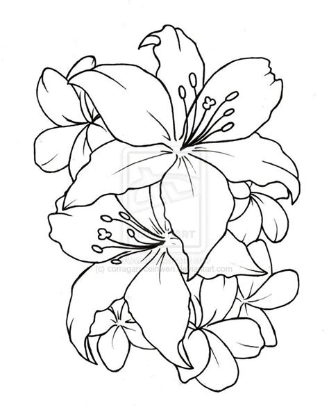 Outline drawing flower. Things To Know About Outline drawing flower. 