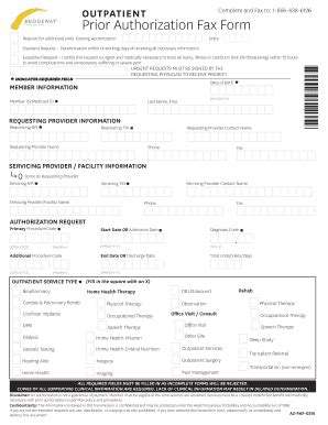 Outpatient Prior Authorization Form - Bridgeway Health Solutions …