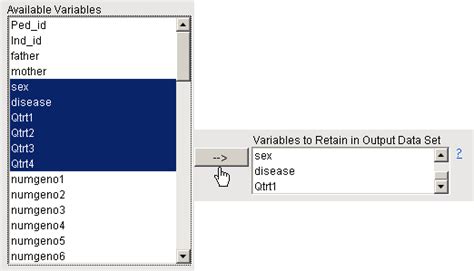 Output Data Set