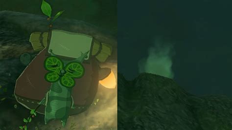 Akkala Korok Seed 20. By Miranda Sanchez, ... View Interactive Map. On a small hill North of East Akkala Stable you will see a tree with a pile of leaves underneath it..