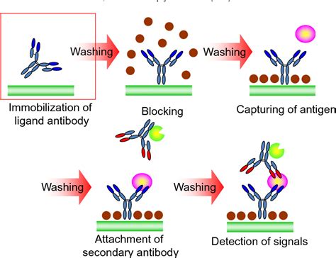 Ovarian antibodies detected by immobilized antigen immunoassay …