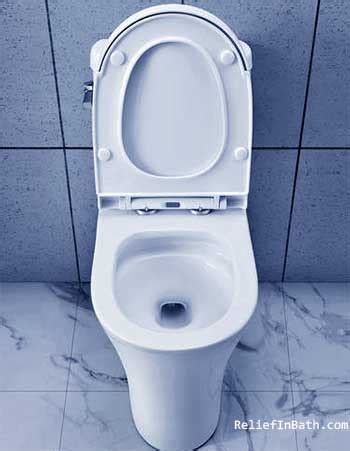What types of toilets might you see on your worldly 