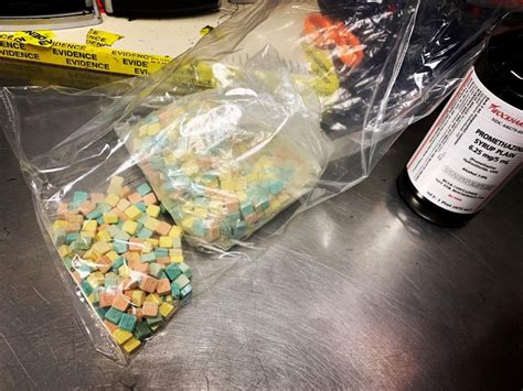 Over 1,100 ecstasy pills seized as San Pablo K-9 officer assists in bust