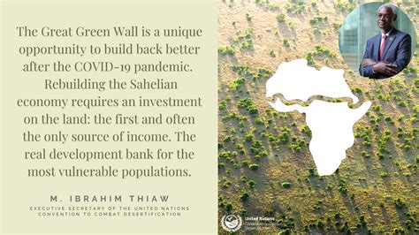 Over 14 billion USD raised for Great Green Wall to regreen the …