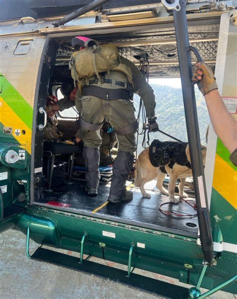 Overheated search and rescue canine airlifted to safety