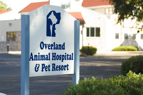 Overland animal hospital. Things To Know About Overland animal hospital. 