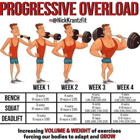 Overload in Strength Training to Build Muscle