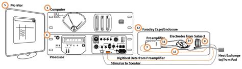 Overview - ABR User Guide - Tucker-Davis Technologies