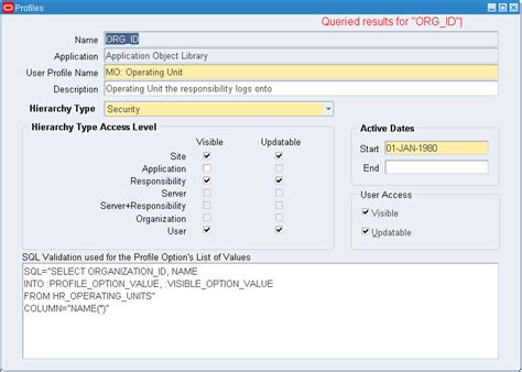 Overview of Profile Options - docs.oracle.com