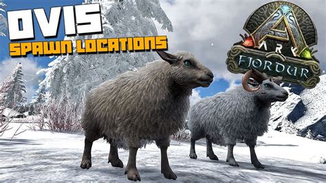Feb 9, 2023 · This guide will show you the Ovis Spawn Locations in ARK Fjordur. ARK Fjordur: Ovis Spawn Locations To begin your adventure, head over to the Fjordur map and go to the north side of the map. There you will enter the snowy biome filled with different creatures, including the Ovis sheep. . 