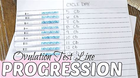 Ovulation Test Line Progression 2020 How To Read An Ovulation Test Ttc