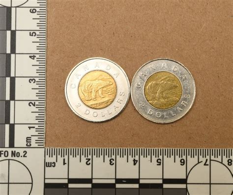 Owen Sound has an excess of fake toonies CTV News …