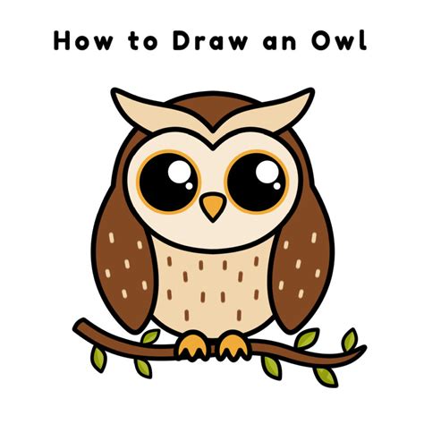 Owl Pics To Draw