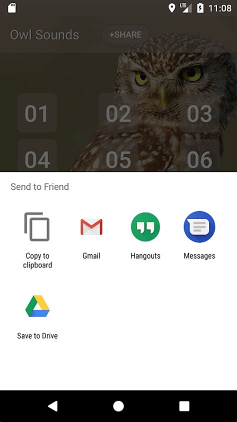 Owl Sound APK Download for Android 