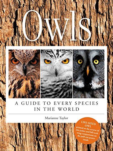 Owls a guide to every species in the world. - Vybz kartel voice of the jamaican ghetto.