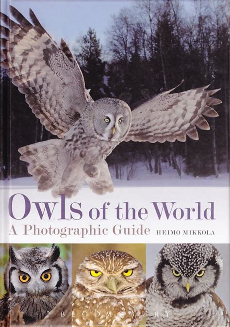 Owls of the world a photographic guide. - Yamaha yzf r1 yzfr1w and yzfr1wc 2007 2008 motorcycle workshop manual repair manual service manual.