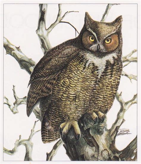 Owls through the Ages – 125 Years of Chi Omega