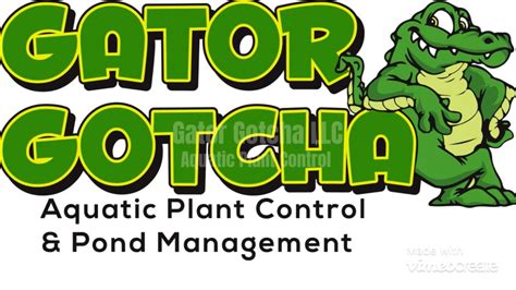 Owner/Operator - Gator Gotcha Pond Management