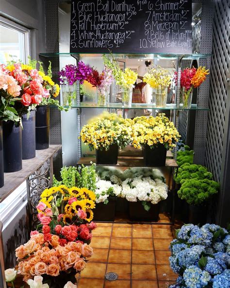 Oxford floral. Things To Know About Oxford floral. 