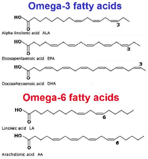 Oxidation in Omega 3 Oils An Overview
