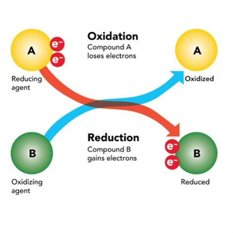 Oxidation-reduction potential. Things To Know About Oxidation-reduction potential. 