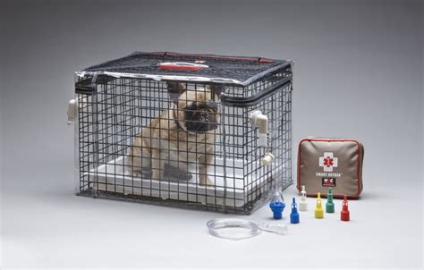 Oxygen Tents for Dogs: A Vital Tool for Respiratory Distress