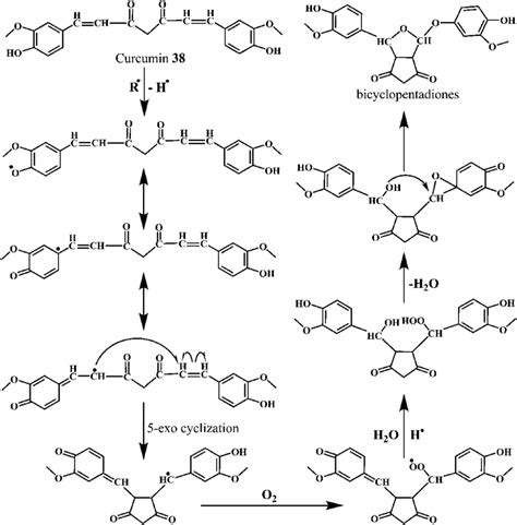 Oxygen radical scavenging activity of curcumin