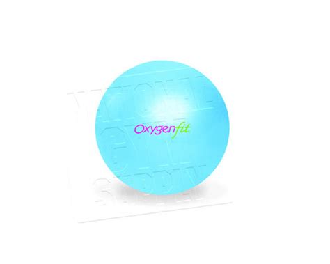 Oxygenfit Body Ball Kit - Light Sky : Home Gyms - amazon.com