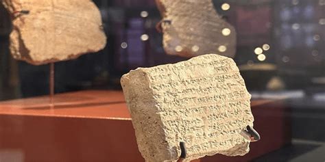 Oymaagac Halı ve Koltuk Yıkama