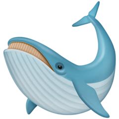 Oynat Balina Facebook. 