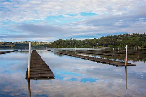 Oyster Farm Catch A Crab Tweed River Gold Coast