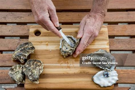 Oyster Photos and Premium High Res Pictures - Getty …