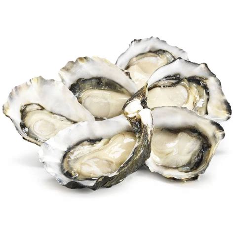 Oyster Price Target