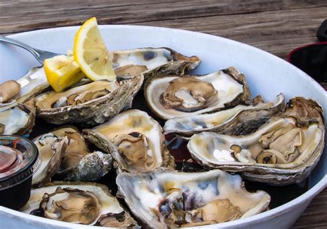 Oyster oyster. Ingredients. Seafood. Shellfish. Oysters. How to Talk About Oysters Like You Know What You're Talking About. There are five types of oysters in the U.S., and … 