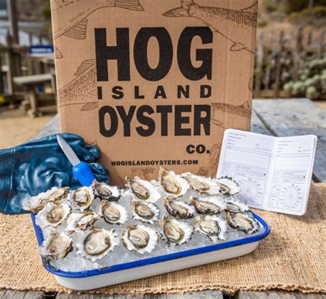 Oysters hog island. Things To Know About Oysters hog island. 