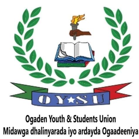 Oysu Halı ve Koltuk Yıkama