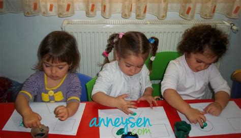 codini.rgarabwor.edu.pl. 