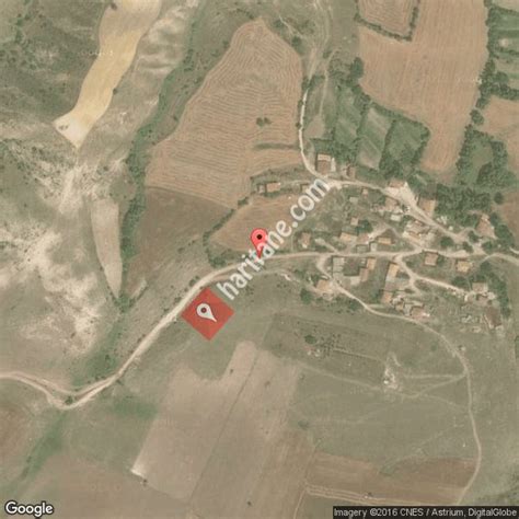 Ozalakadi Halı ve Koltuk Yıkama