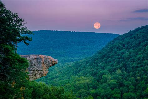 A visit to the Ozark region could mean stumbling across flooded cemeteries, swimming with piranhas and coming face-to-face with a howling horned cat. Or simply enjoying scenic …. 