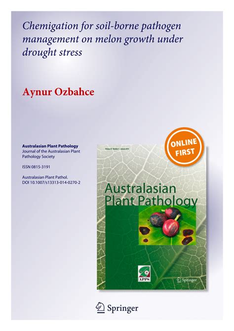 Ozbahce Halı ve Koltuk Yıkama