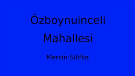 Ozboynuinceli Halı ve Koltuk Yıkama