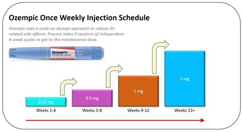 Ozempic Half-life Chart