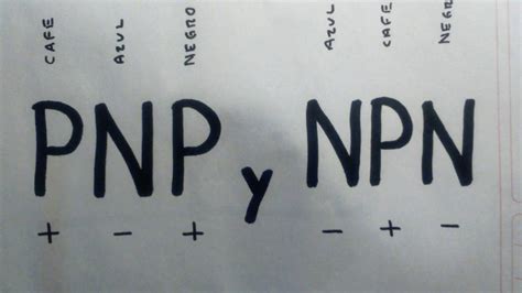 P@Nd@N@ Leaks (SEX) 103 Videos