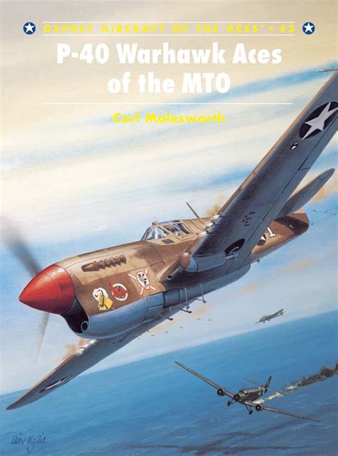 P 40 Warhawk Aces of the MTO